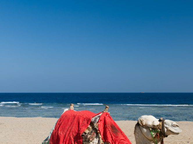 Sharm El-Shaikh