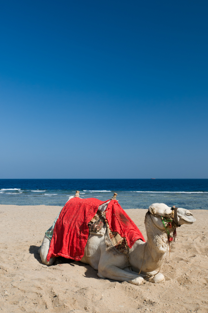 Sharm El-Shaikh